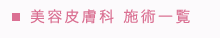 美容皮膚科施術一覧