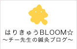 はりきゅうBLOOM☆ チー先生の鍼灸ブログ